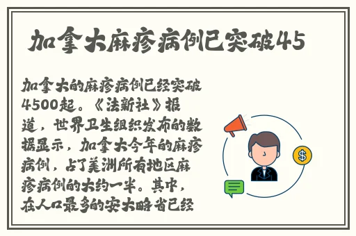 中国×站下载
